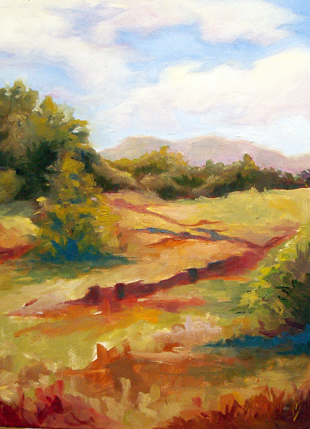 Texas Meadow