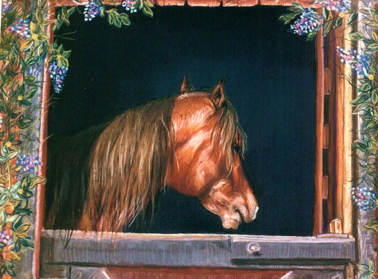 Zarro in Barn